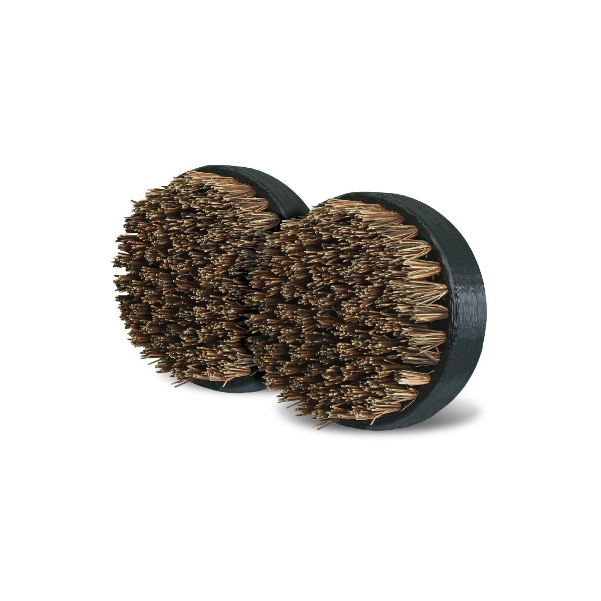 Kefa čistiaca Palmyra